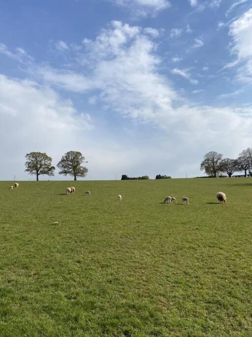 Coach House - Detached Cottage Within 135 Acres Bromyard Exterior photo